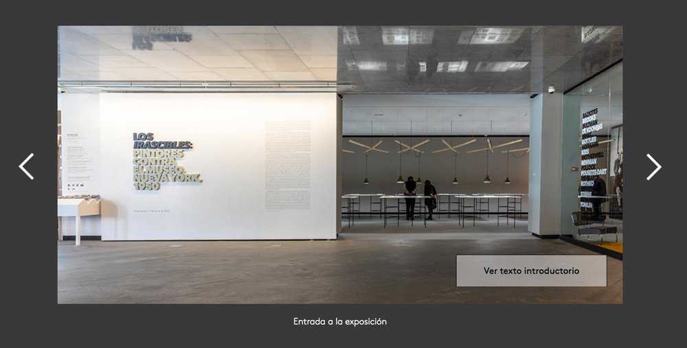 La exposición “Los irascibles” de forma virtual en la Fundación Juan March
