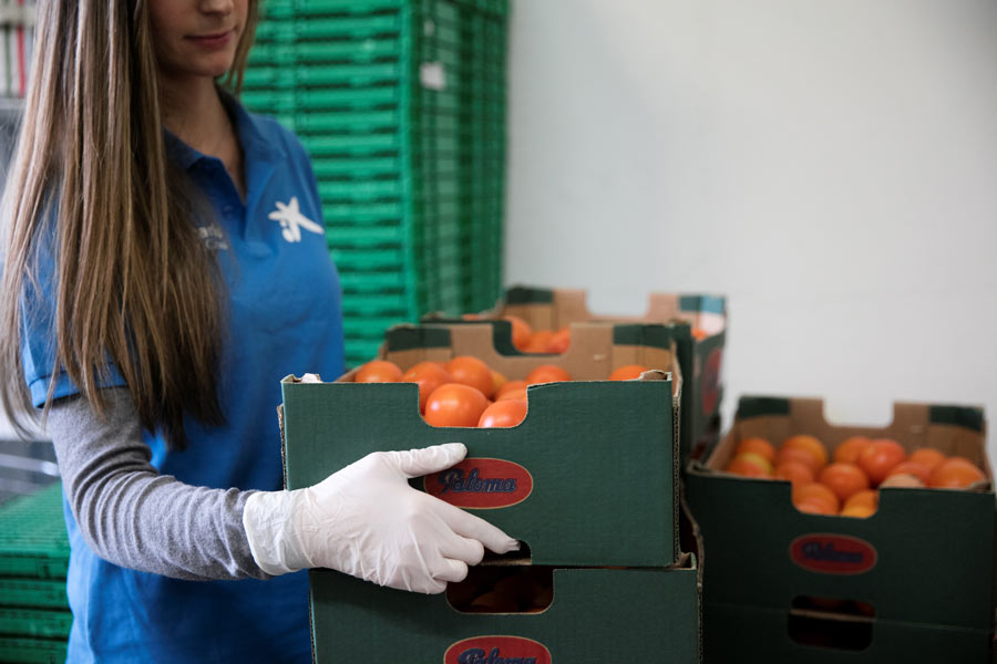 #NingúnHogarSinAlimentos: comienza la IV campaña de Fundación la Caixa para ayudar a los 1,2 millones de personas que deben recurrir a los bancos de alimentos