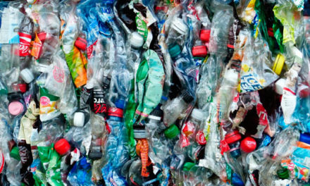 Repsol Impacto Social invierte en SAEMA, empresa dedicada a la recuperación y reciclaje de envases