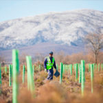 Fundación Ibercaja presenta el proyecto de reforestación “Bosque Ibercaja”