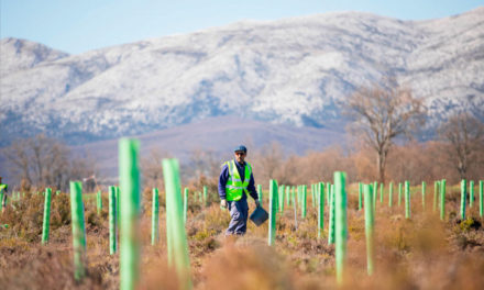 Fundación Repsol, Sylvestris y Land Life Company desarrollarán proyectos conjuntos de reforestación en la Península Ibérica y Latinoamérica