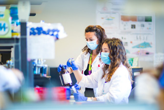 Fundación Lilly convoca los premios de Investigación Biomédica 2022