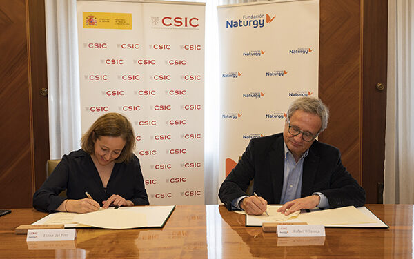 Fundación Naturgy y el CSIC convocan el I Premio a la investigación y la innovación en el ámbito energético