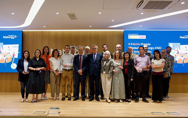 Fundación Naturgy, otorga el Premio a la Investigación y la Innovación Tecnológica a un proyecto de generación de hidrógeno del Instituto de Catálisis y Petroleoquímica.