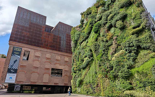 Nuevos talleres y actividades en el Espacio Fundación ”la Caixa” de Madrid