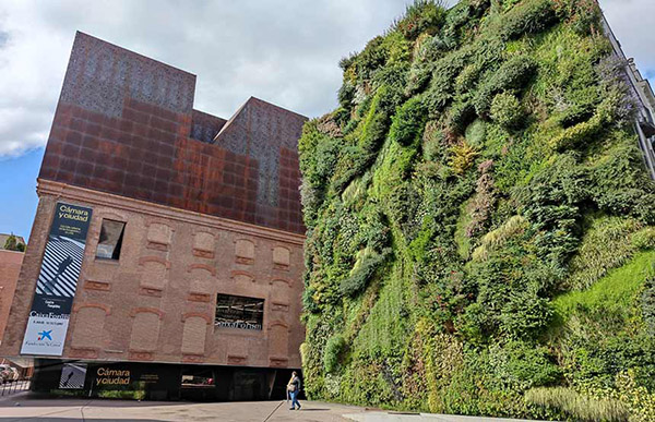 Nuevos talleres y actividades en el Espacio Fundación ”la Caixa” de Madrid