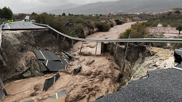 Las fundaciones se vuelcan con los afectados por la DANA