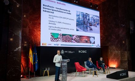 El proyecto ganador de la I edición del Premio Fundación Naturgy-CSIC emplea residuos de biomasa para convertir CO2 en productos químicos de alto valor