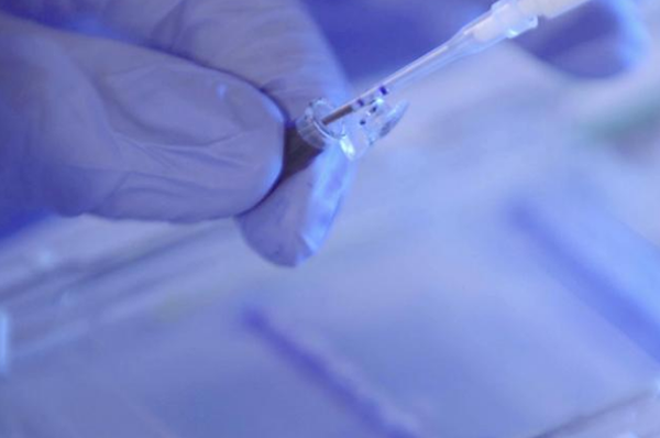 La Fundación “la Caixa” ha resuelto la convocatoria 2025 del programa CaixaImpulse