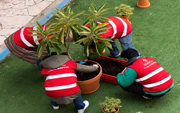 Más de 9.000 trabajadores de Mapfre (el 23% de la plantilla) han participado en acciones de voluntariado este año