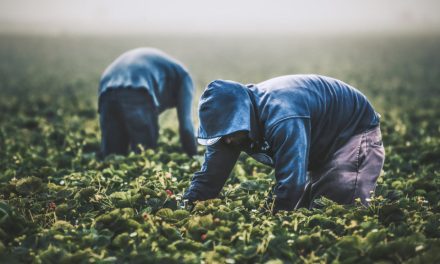 FUNCAS: El número de inmigrantes en situación irregular en España aumentó de 107.000 en 2017 a 840.000 en 2025