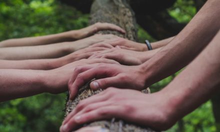 Abierta la VII convocatoria del programa de apoyo a la creación de fundaciones comunitarias
