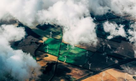 Fundación Naturgy organiza un webinar sobre Mecanismos de adaptación al cambio climático