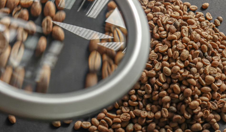 Fundación Alsea lanza la V edición del Premio Alsea dirigido a proyectos de investigación en seguridad alimentaria y nutrición