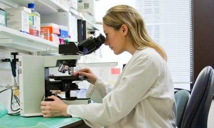 Fundación Mutua Madrileña concede 2,3 M€ para 21 nuevos proyectos de investigación médica