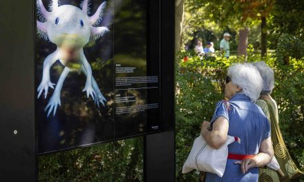 Afundación inaugura en el Retiro la exposición de retratos de animales en peligro de extinción, de Tim Flach