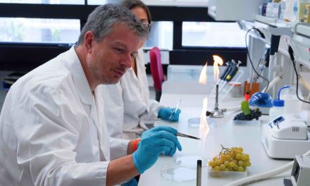 Ángel Medina, tercer investigador que regresa a España con el Programa de Retorno del Talento de la Fundación Ramón Areces